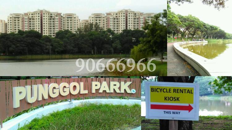 The Rivervale (D19), Condominium #129111652